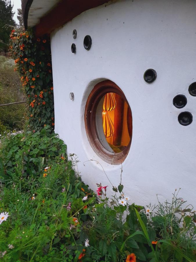 Half Moon Hollow Eco Cottage Mossel Bay Exterior foto